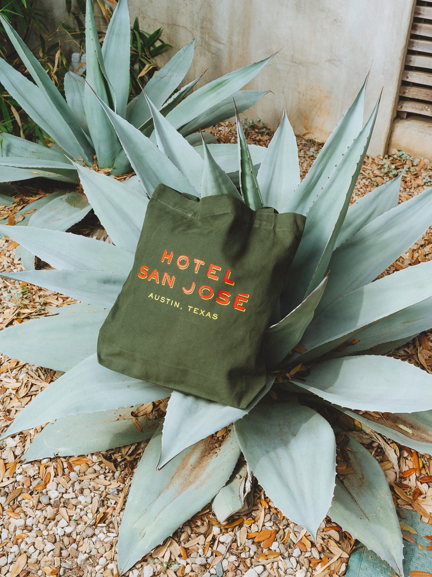 A green canvas tote bag with 'Hotel San Jose Austin, Texas' printed in orange and yellow lettering sitting on top of an agave plant.