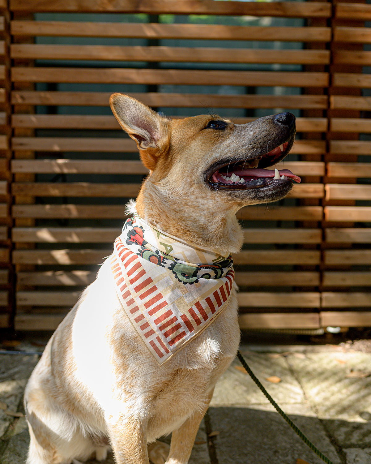 Hotel San Jose Silk Bandana