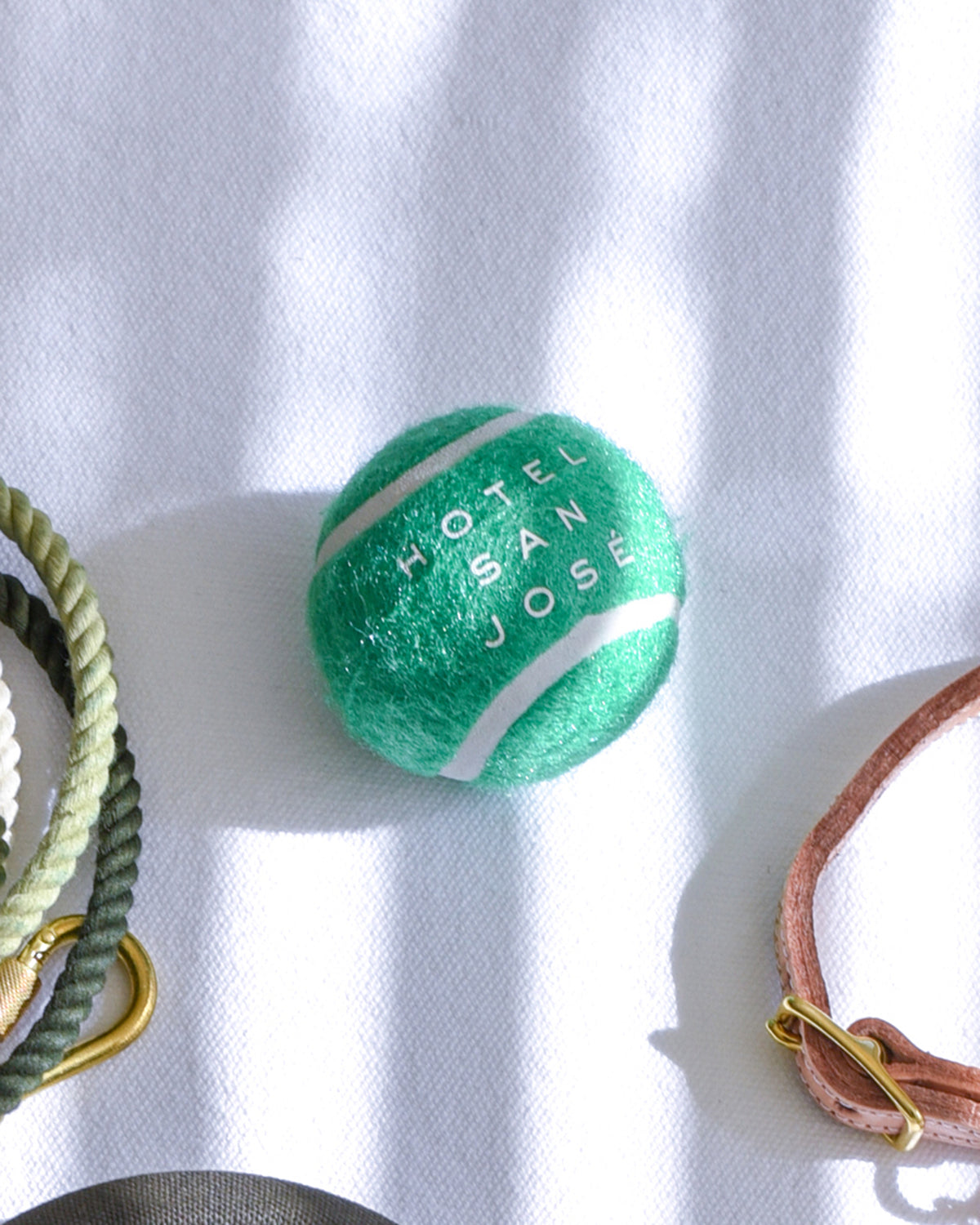 Hotel San José Dog Ball