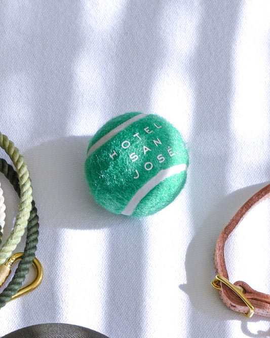 Hotel San José Dog Ball